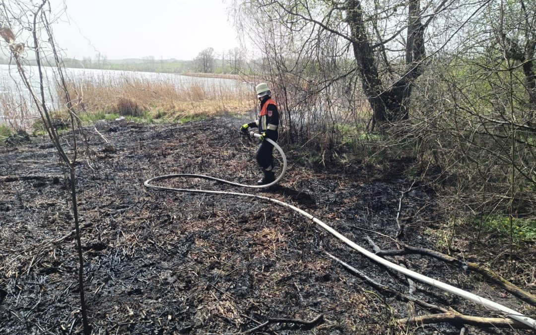 Brand im Schilfgürtel am Standbad Tengling