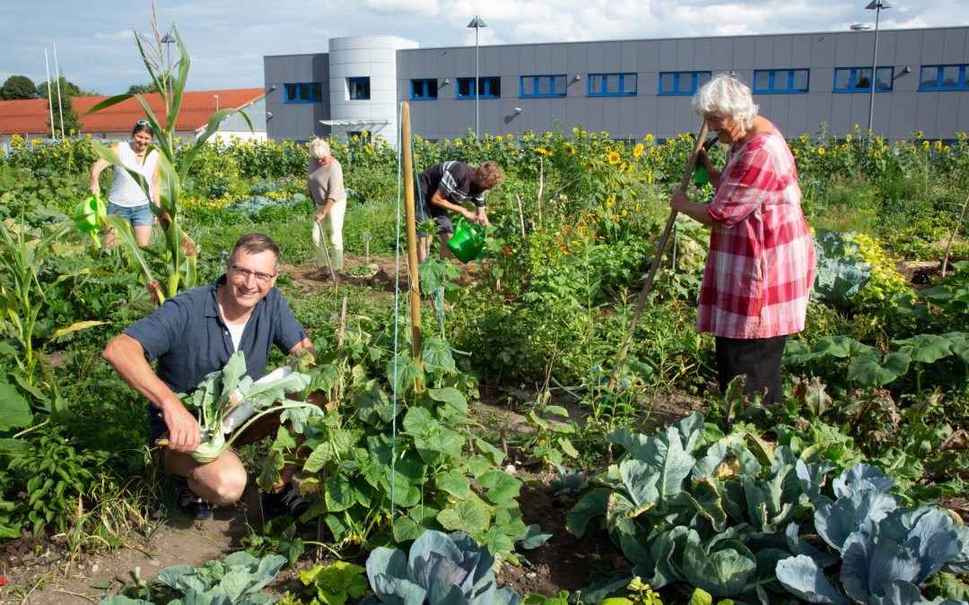 Lass Wachsen. Gärten, Garteln, Genießen in Prien