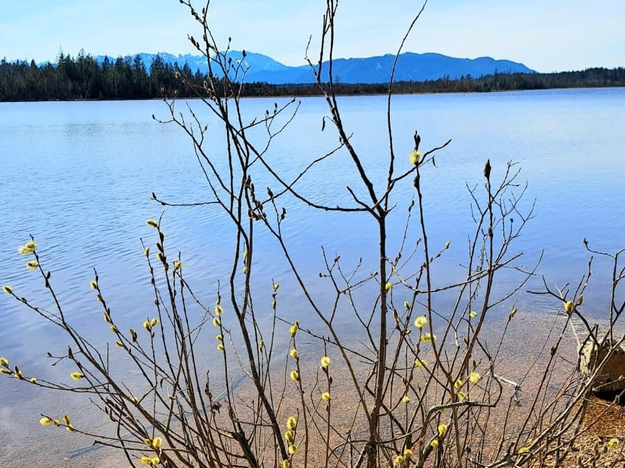 Ausflugstipp: Kirchsee bei Kloster Reutberg