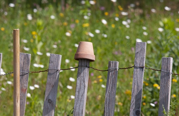 Garten mit der Natur teilen – Auszeichnung erhalten