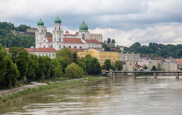 Passau: Lebensräume von gefährdeten Tier- und Pflanzenarten werden neu erfasst