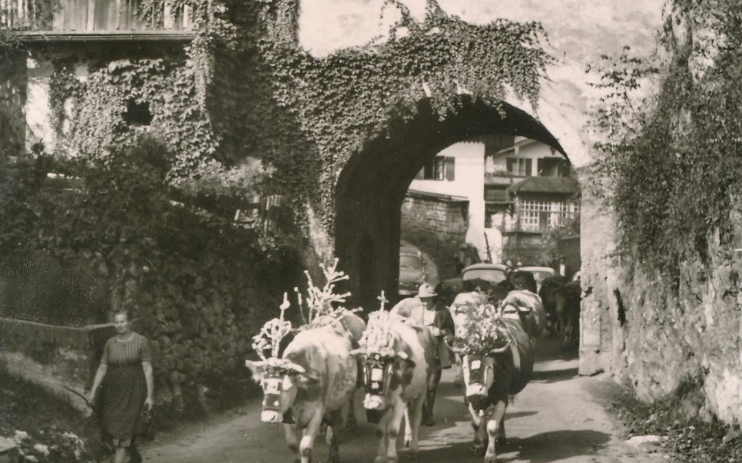 Oberaudorf, Landkreis Rosenheim, 1954