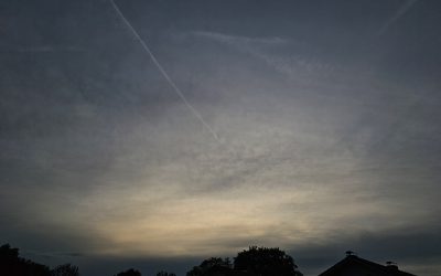 MorgenINNPULS – Schon gewusst?