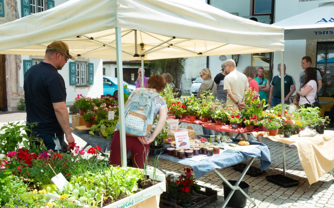 Priener Maimarkt mit den örtlichen Vereinen