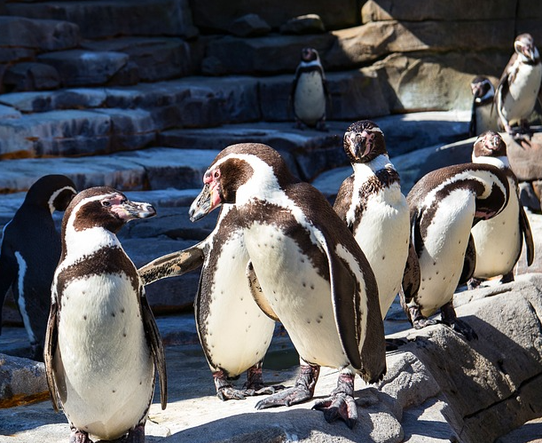 Tierisch viel Nachwuchs im Tierpark Hellabrunn