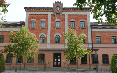 Vor der Sitzung: Wie gut ist Rosenheim auf Starkregen vorbereitet?