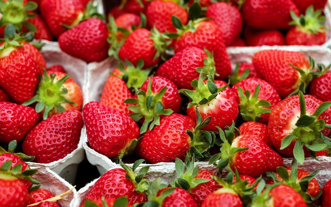 Die süße Zeit beginnt – Es gibt wieder bayerische Erdbeeren