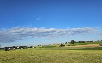 Ausgerechnet am heißesten Tag: Was der Siebenschläfertag wirklich über den Sommer verrät