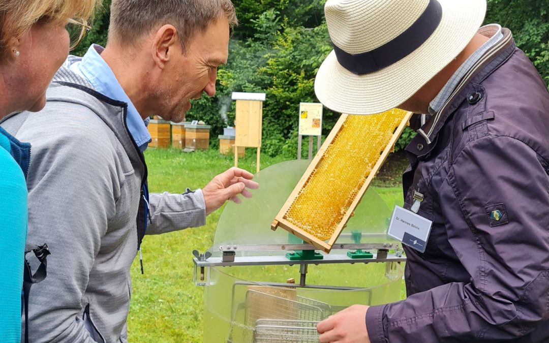 Erfolgreicher Bienentag im Bauernhausmuseum Amerang