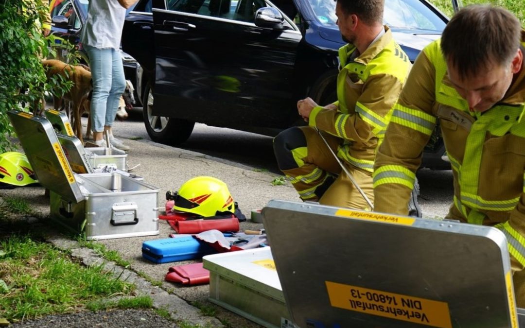 Feuerwehr Übersee befreit 3 Hunde und eine Katze aus überhitzten Pkw