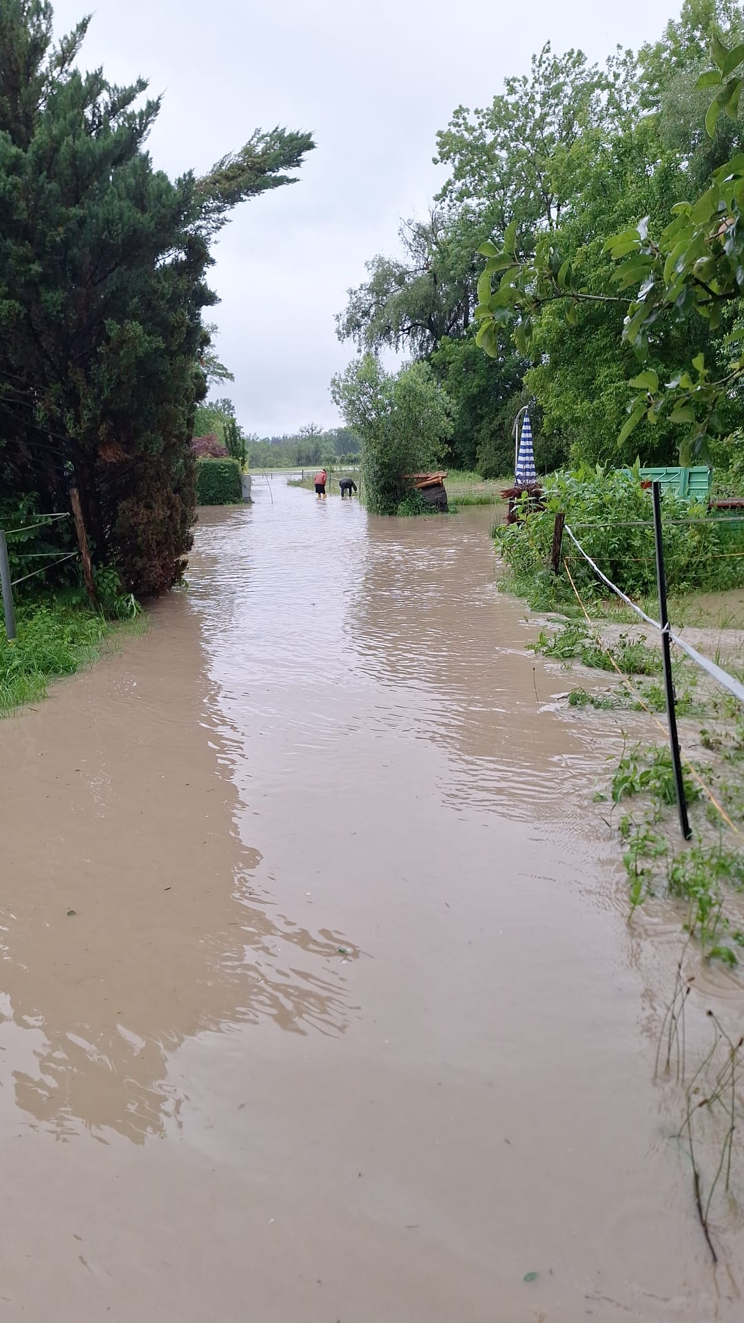 Straße unter Wasser. Foto: re