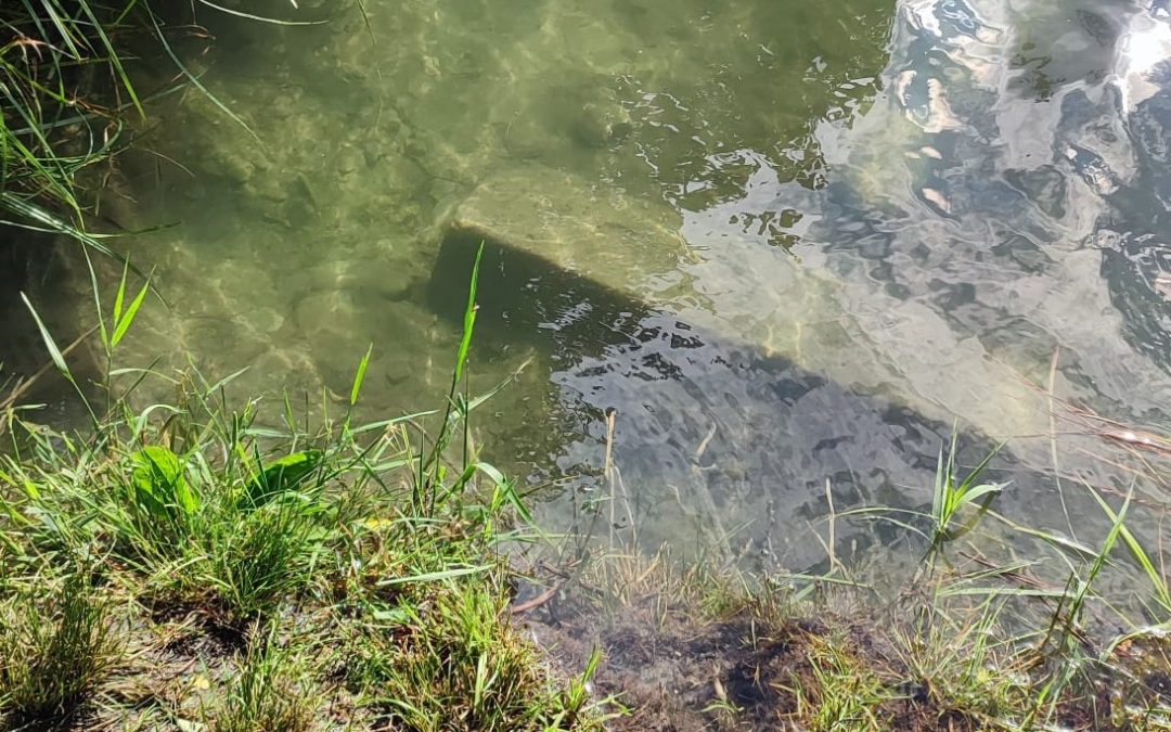 Im Happinger See ist der „Stöpsel“ wieder drin