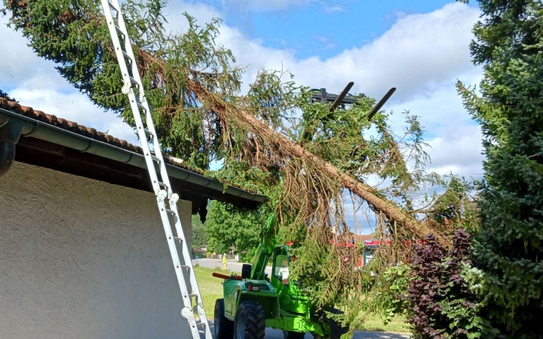 Baum fällt bei Bergen auf Garagendach