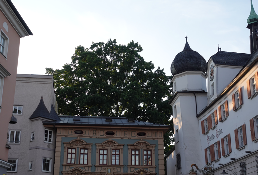 Stadtspiel 2024 (17) Baum Ludwigsplatz. Foto: Innpuls.me