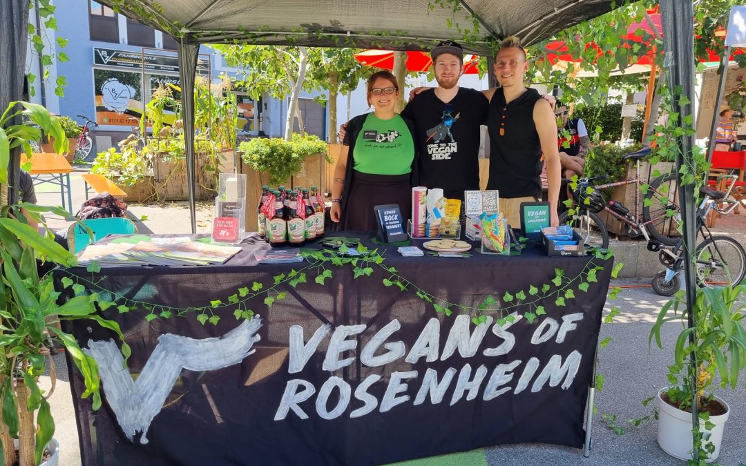 Solarpunk Straßenfest am Salzstadel Rosenheim