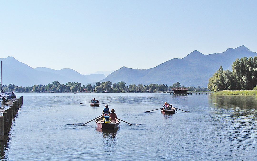 Führung: Mit dem Ruderboot ans Ende des Sees