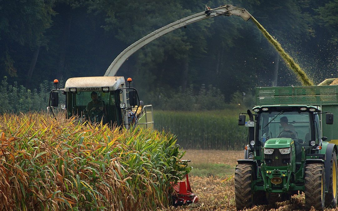 Erntebeginn: Vorsicht auf Bayerns Straßen