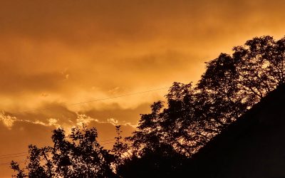 MorgenINNPULS – Schon gewusst?