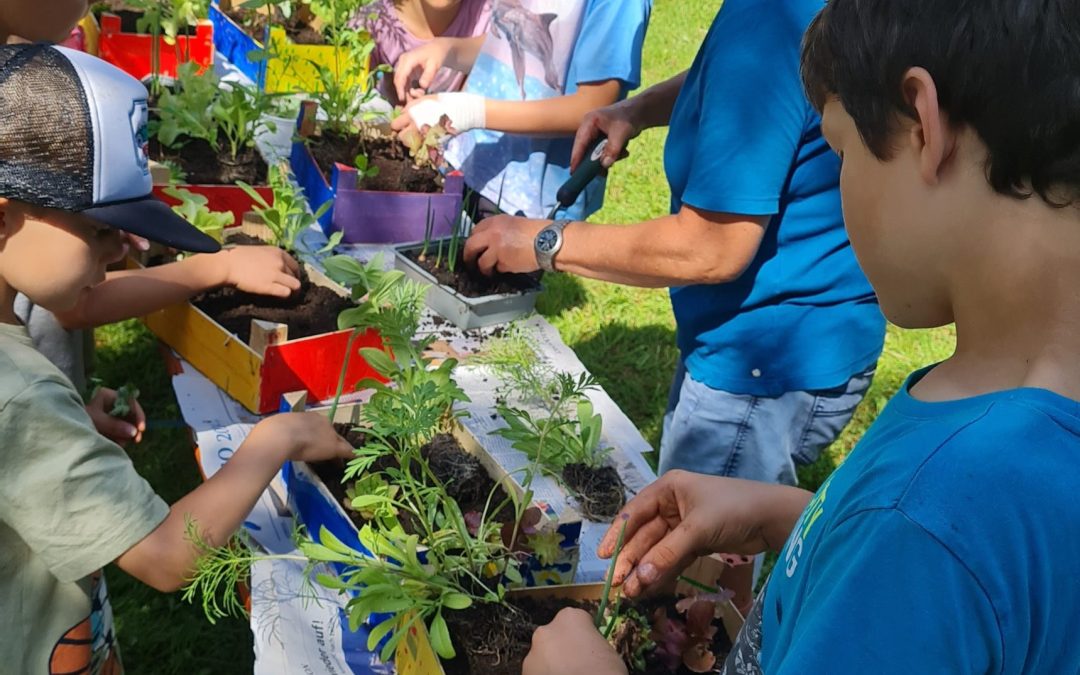 Ein Mini-Garten für kleine Gärtner