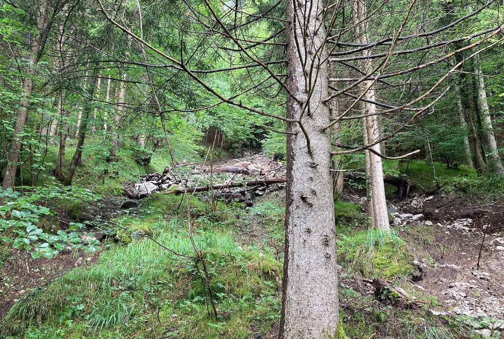 Zum Schutz vor Muren: Am Wildbarren wird ein Sicherungszaun gebaut