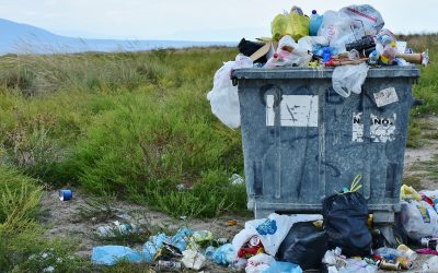 Rosenheim: Anmeldung für die Rama Dama-Umweltaktion 2026 gestartet