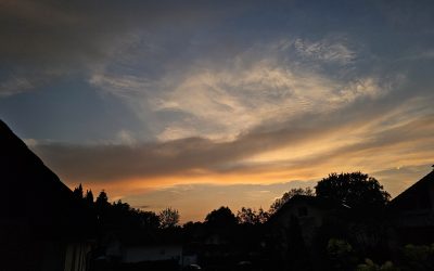 MorgenINNPULS – Schon gewusst?