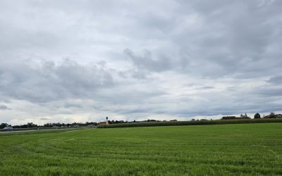 MorgenINNPULS – Schon gewusst?