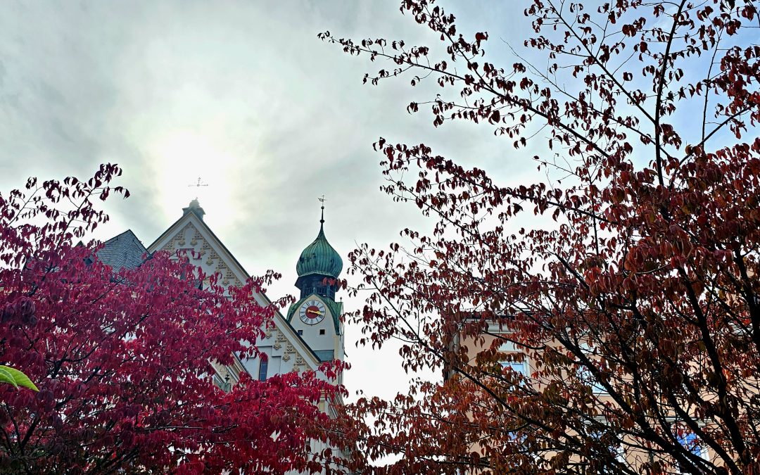 Zierkirschen am Ludwigsplatz tragen ihr rotes Herbstkleid