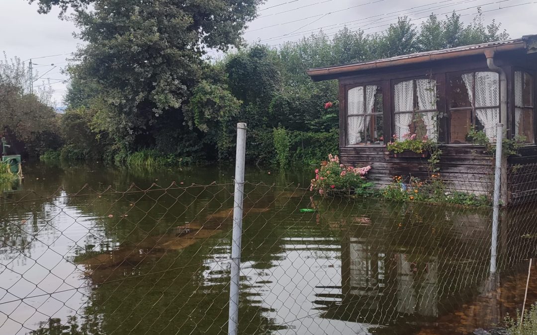 Dauerregen: Land unter bei Happinger Schrebergärten