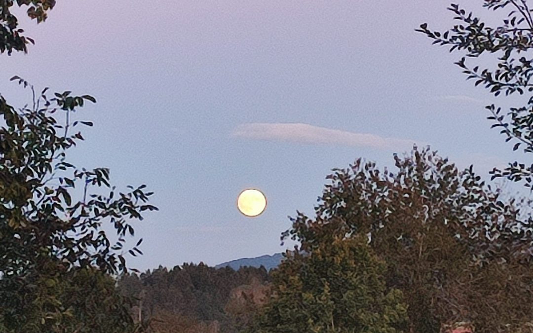 Supermond: Heute (18.September) kommt der Mond der Erde besonders nah