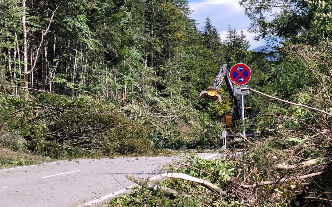 Wegen Schneebruch: Vollsperrung der Bundesstraße zwischen Seehaus und Seegatterl