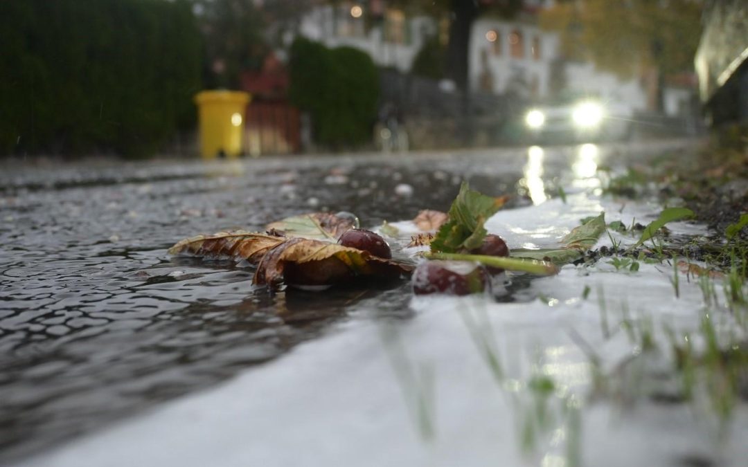 Vom Schaum auf den Straßen: Einem herbstlichen Phänomen auf der Spur