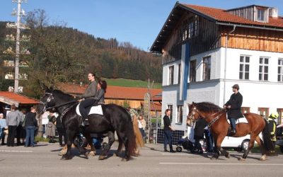 Leonhardiritt in Roßholzen: Miteinander von Mensch und Tier