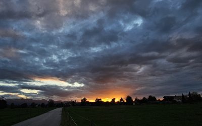 MorgenINNPULS – Schon gewusst?
