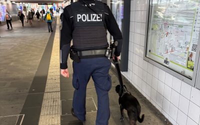 München: Hündin „Chicka“ steigt allein in S-Bahn ein