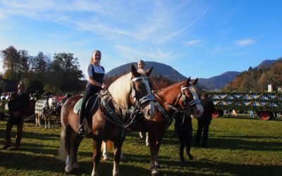 Leonhardiritt in Niederaudorf bei Kaiserwetter