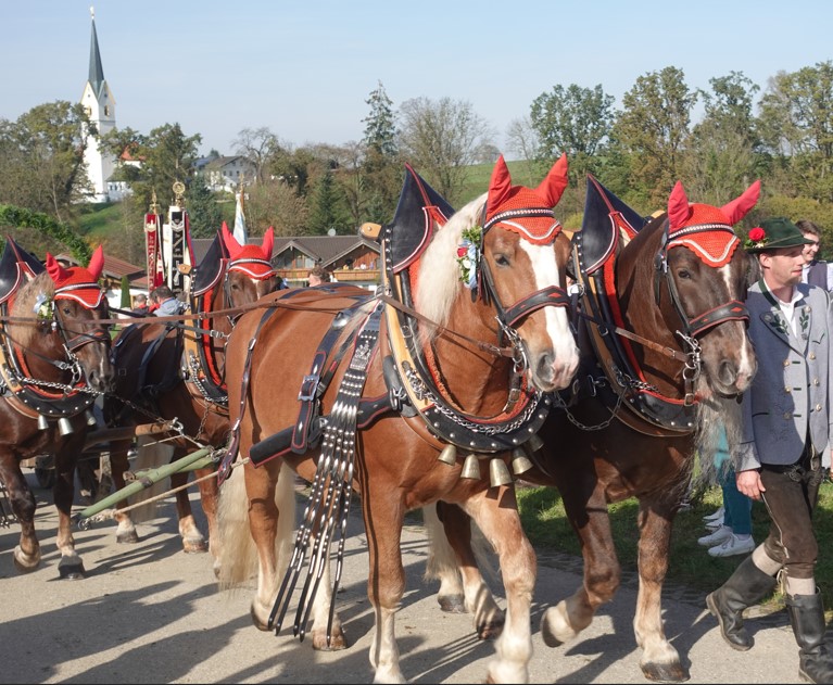 Prachtvoller Leonhardiritt in Leonhardspfunzen