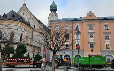 Wintergrün löst mediterrane Bepflanzung in der Rosenheimer Innenstadt ab