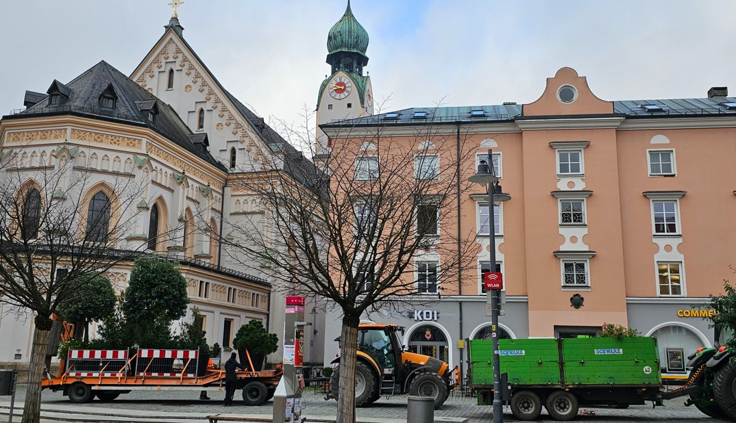 Wintergrün löst mediterrane Bepflanzung in der Rosenheimer Innenstadt ab