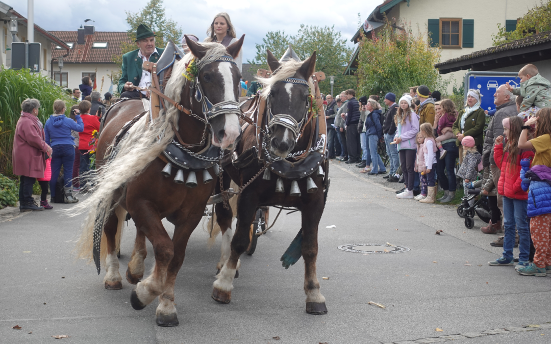 Leonhardiritt: Segen hoch zu Ross in Happing