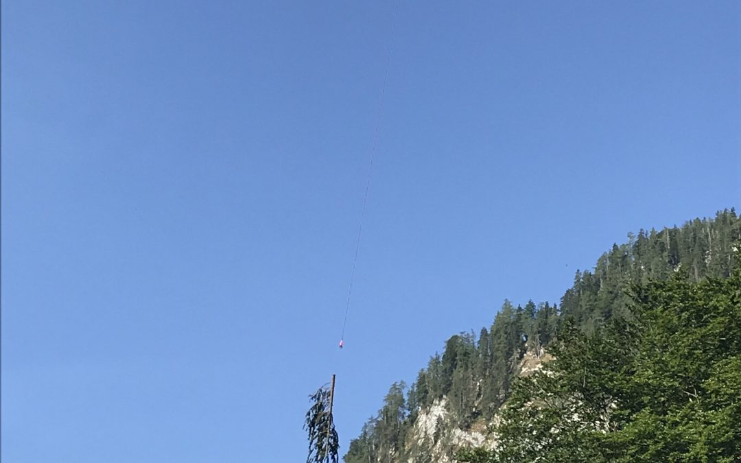 Forstarbeiten mit Hubschrauber am Förchensee