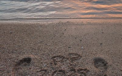 Wer wird das neue Rosenheimer Faschingsprinzenpaar 2025?