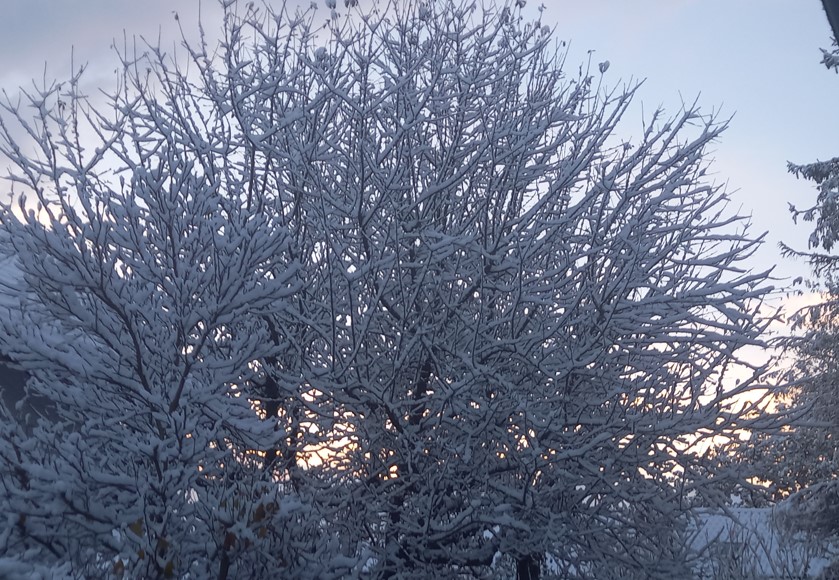 Über Nacht ist der Winter in Rosenheim angekommen