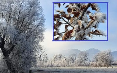 Minusgrade zaubern bizarre Kunstwerke in der Natur