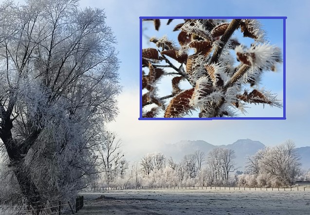 Minusgrade zaubern bizarre Kunstwerke in der Natur