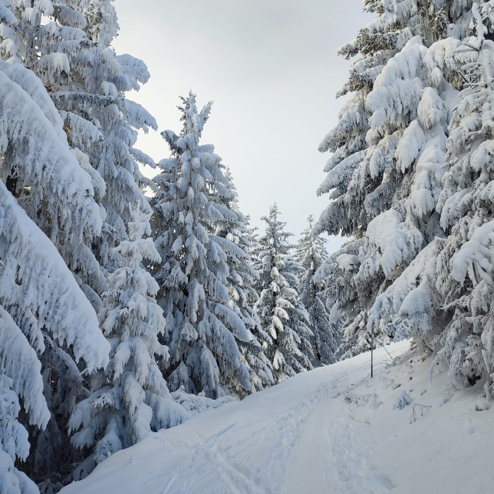 Sudelfeld (1) Sudelfeld 12. Dezenber 2024. Fotos: Gisela Schreiner