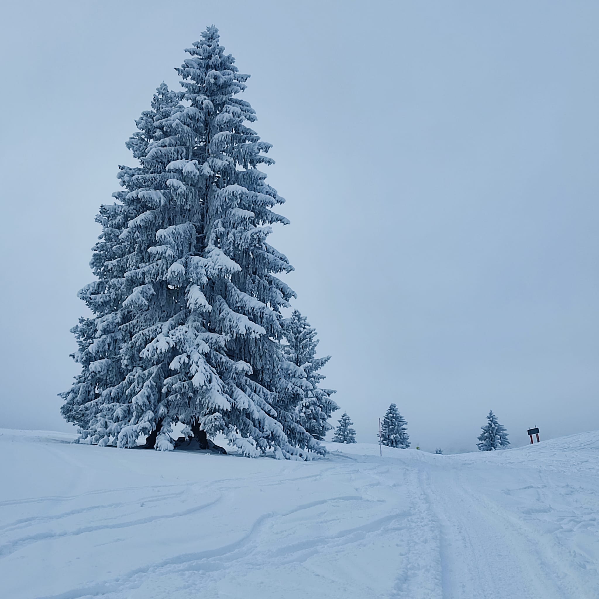 Sudelfeld (2) Sudelfeld 12. Dezenber 2024. Fotos: Gisela Schreiner