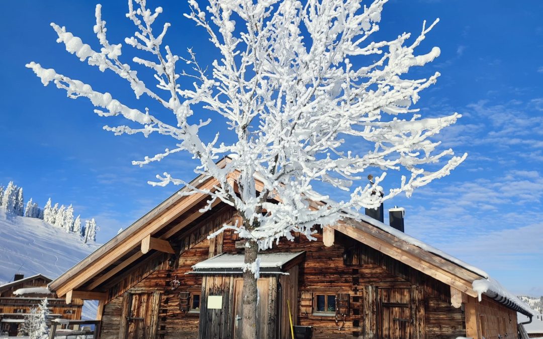 Winterwunderland zum Start der Skisaison am Sudelfeld