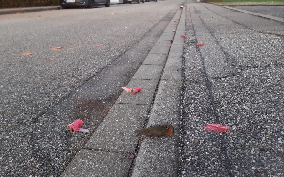 Bund Naturschutz Rosenheim wirbt für ruhigeren Start ins neue Jahr