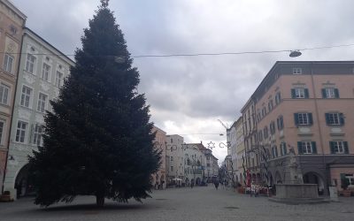 Rosenheimer Christbaum geht in die Verlängerung